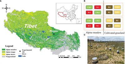 Reclamation intensifies the positive effects of warming on N2O emission in an alpine meadow